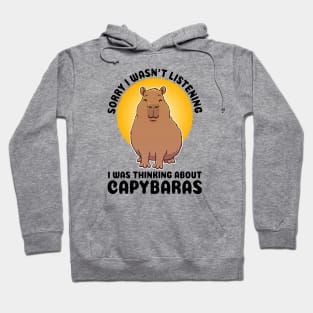 Sorry I wasn’t listening. I was thinking about Capybaras Hoodie